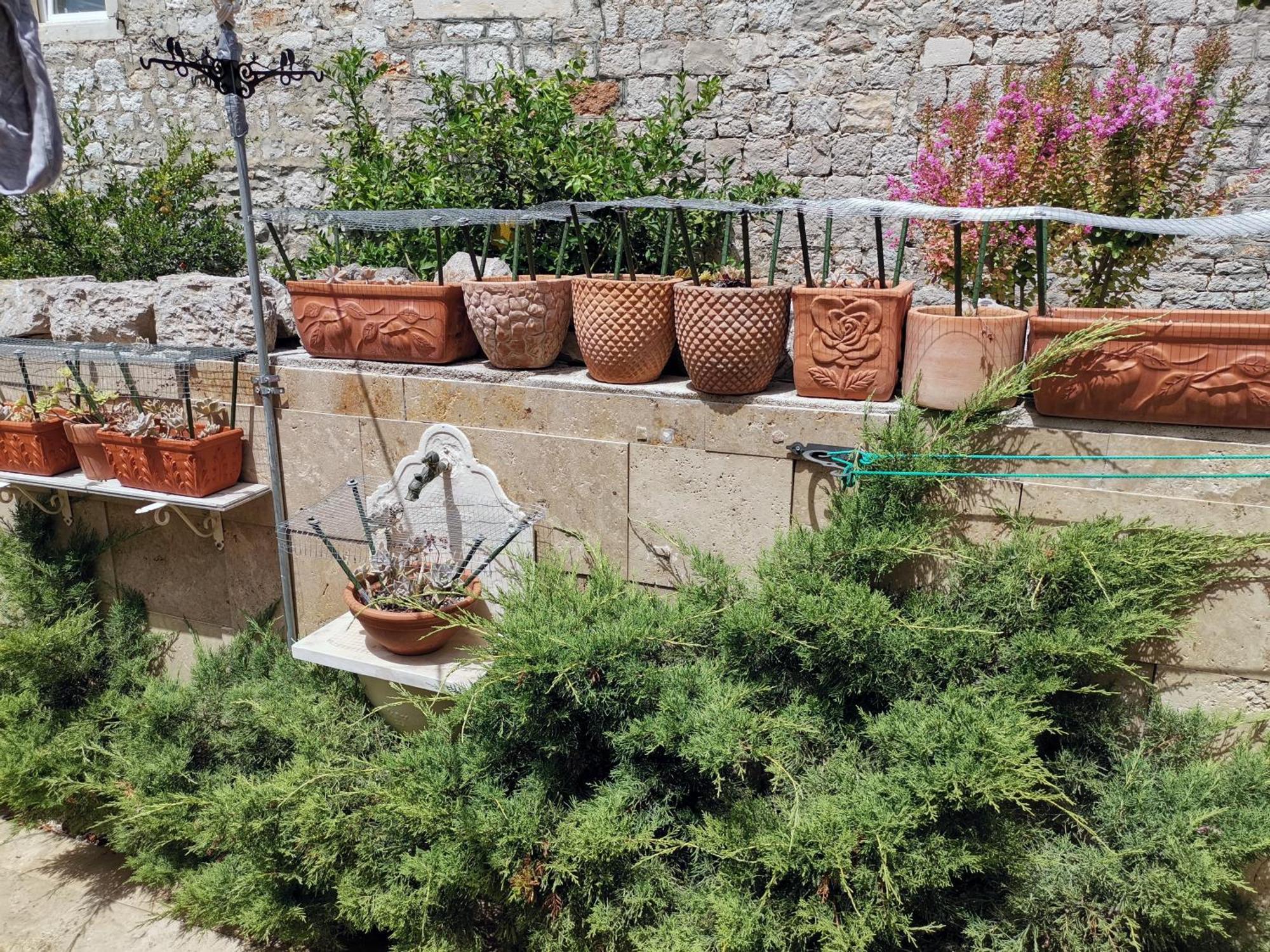 Apartment Alena With Terrace And Garden Center Jelsa Jelsa  Esterno foto